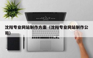和县沈阳专业网站制作方案（沈阳专业网站制作公司）